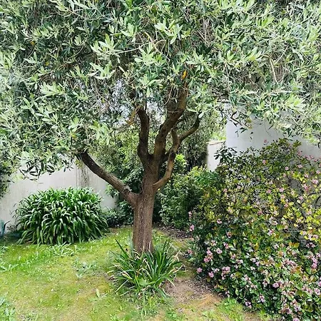 Vakantiehuis Maison Sur *