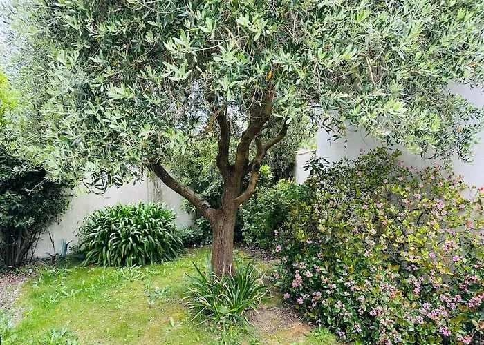 Сasa de vacaciones Maison Sur *